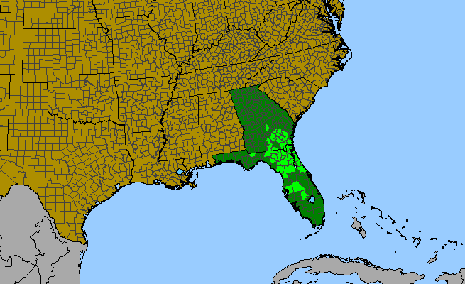The range of Asimina incana